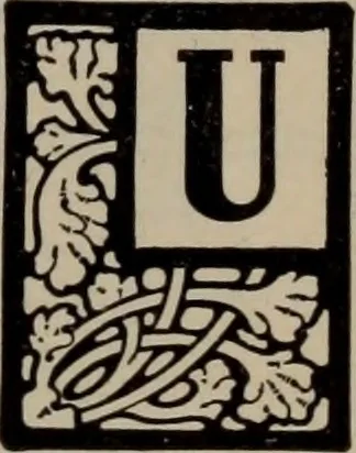 An illustration from Abridged specimen book, type : nickel-alloy on universal line comprising a price list of types, borders, leads and slugs, brass rule, brass galleys ; miscellaneous cuts and general supplies for printers, 1906, leaf 352
