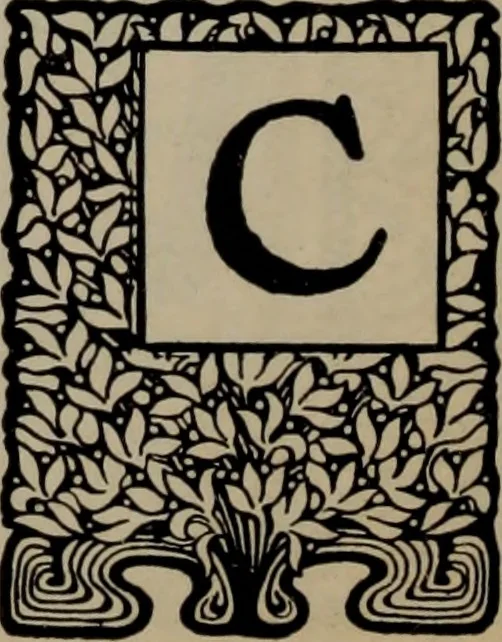 An illustration from Abridged specimen book, type : nickel-alloy on universal line comprising a price list of types, borders, leads and slugs, brass rule, brass galleys ; miscellaneous cuts and general supplies for printers, 1906, leaf 353