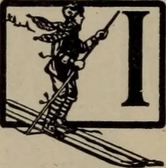 An illustration from Abridged specimen book, type : nickel-alloy on universal line comprising a price list of types, borders, leads and slugs, brass rule, brass galleys ; miscellaneous cuts and general supplies for printers, 1906, leaf 355