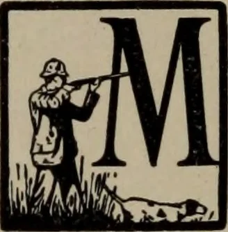 An illustration from Abridged specimen book, type : nickel-alloy on universal line comprising a price list of types, borders, leads and slugs, brass rule, brass galleys ; miscellaneous cuts and general supplies for printers, 1906, leaf 355