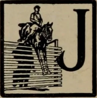 An illustration from Abridged specimen book, type : nickel-alloy on universal line comprising a price list of types, borders, leads and slugs, brass rule, brass galleys ; miscellaneous cuts and general supplies for printers, 1906, leaf 355