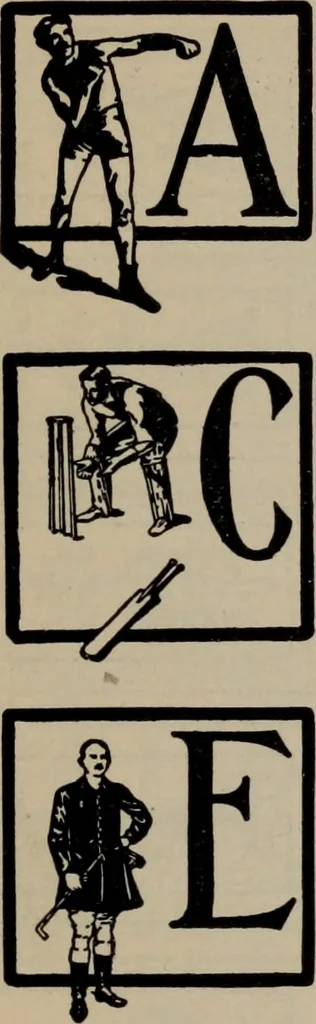 An illustration from Abridged specimen book, type : nickel-alloy on universal line comprising a price list of types, borders, leads and slugs, brass rule, brass galleys ; miscellaneous cuts and general supplies for printers, 1906, leaf 356