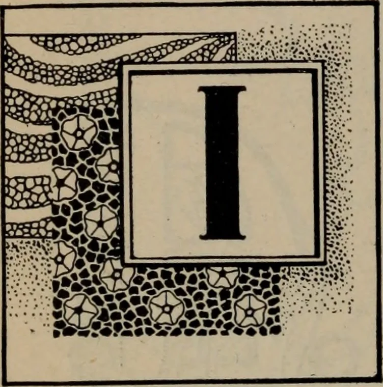 An illustration from Abridged specimen book, type : nickel-alloy on universal line comprising a price list of types, borders, leads and slugs, brass rule, brass galleys ; miscellaneous cuts and general supplies for printers, 1906, leaf 361
