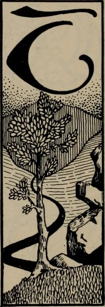 An illustration from Abridged specimen book, type : nickel-alloy on universal line comprising a price list of types, borders, leads and slugs, brass rule, brass galleys ; miscellaneous cuts and general supplies for printers, 1906, leaf 361