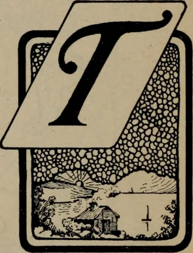 An illustration from Abridged specimen book, type : nickel-alloy on universal line comprising a price list of types, borders, leads and slugs, brass rule, brass galleys ; miscellaneous cuts and general supplies for printers, 1906, leaf 361