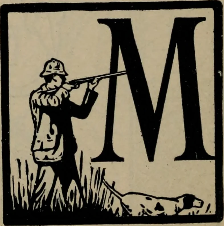 An illustration from Abridged specimen book, type : nickel-alloy on universal line comprising a price list of types, borders, leads and slugs, brass rule, brass galleys ; miscellaneous cuts and general supplies for printers, 1906, leaf 361
