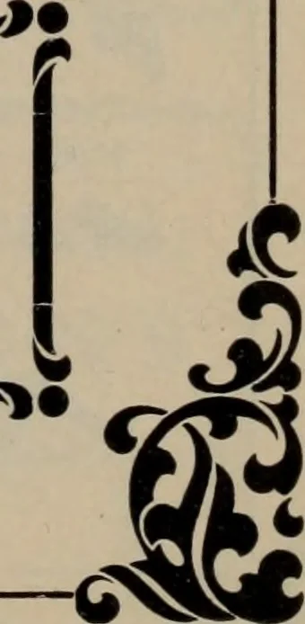An illustration from Abridged specimen book, type : nickel-alloy on universal line comprising a price list of types, borders, leads and slugs, brass rule, brass galleys ; miscellaneous cuts and general supplies for printers, 1906, leaf 366