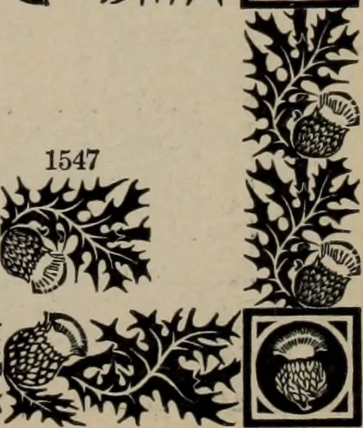 An illustration from Abridged specimen book, type : nickel-alloy on universal line comprising a price list of types, borders, leads and slugs, brass rule, brass galleys ; miscellaneous cuts and general supplies for printers, 1906, leaf 376