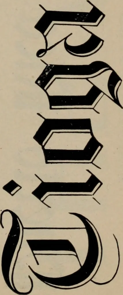 An illustration from Abridged specimen book, type : nickel-alloy on universal line comprising a price list of types, borders, leads and slugs, brass rule, brass galleys ; miscellaneous cuts and general supplies for printers, 1906, leaf 474