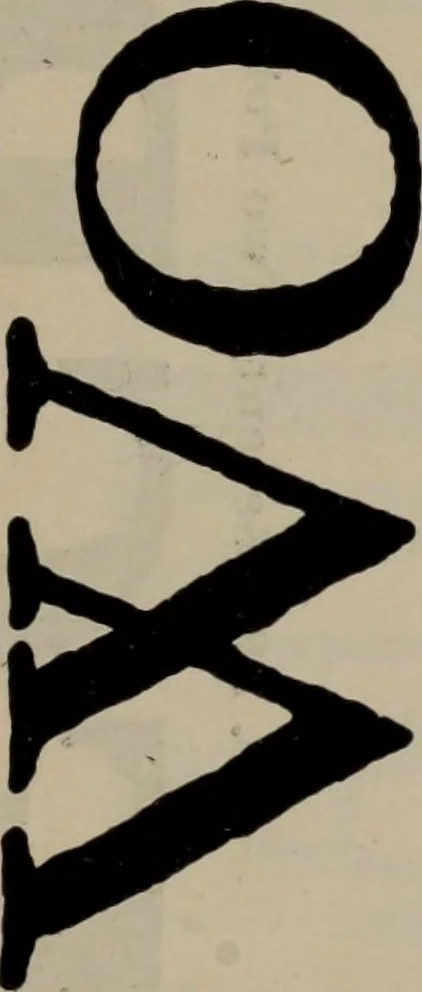 An illustration from Abridged specimen book, type : nickel-alloy on universal line comprising a price list of types, borders, leads and slugs, brass rule, brass galleys ; miscellaneous cuts and general supplies for printers, 1906, leaf 488
