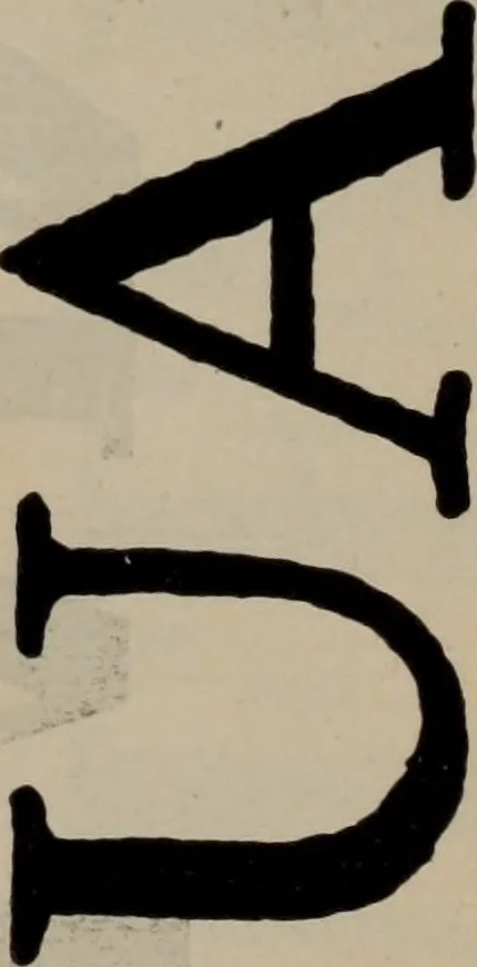 An illustration from Abridged specimen book, type : nickel-alloy on universal line comprising a price list of types, borders, leads and slugs, brass rule, brass galleys ; miscellaneous cuts and general supplies for printers, 1906, leaf 488