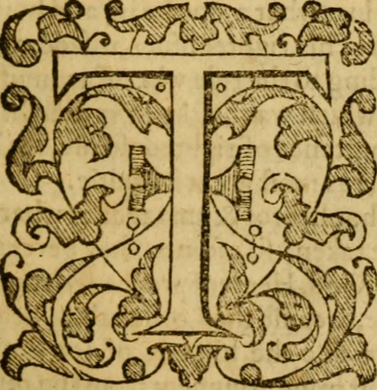 An illustration from An abridgement of the Institution of the Christian religion writen by M. Ihon Caluin : wherein briefe and sound aunsweres to the objections of the adversaries are set downe, 1585, leaf 40