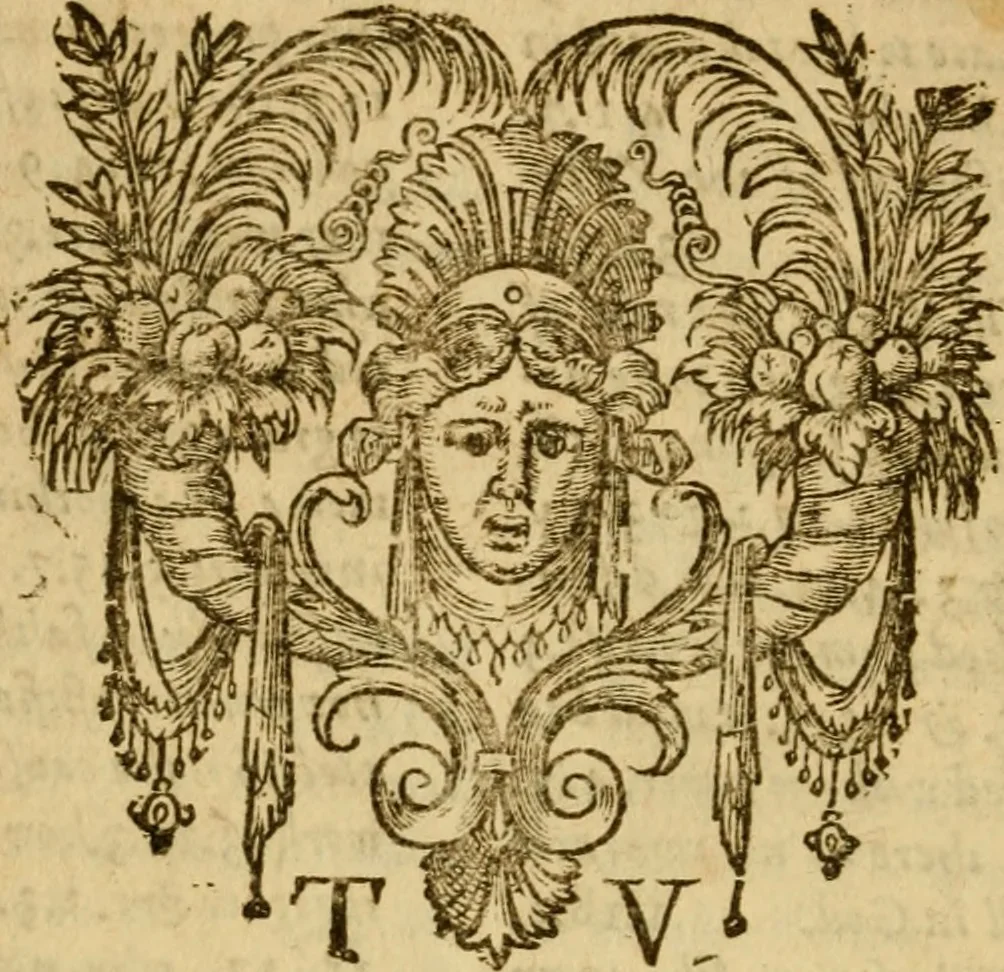 An illustration from An abridgement of the Institution of the Christian religion writen by M. Ihon Caluin : wherein briefe and sound aunsweres to the objections of the adversaries are set downe, 1585, leaf 467