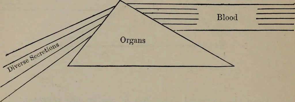 An illustration from Absolute key to occult science : The tarot of the Bohemians. The most ancient book in the world. For the exclusive use of initiates, 1892, leaf 261