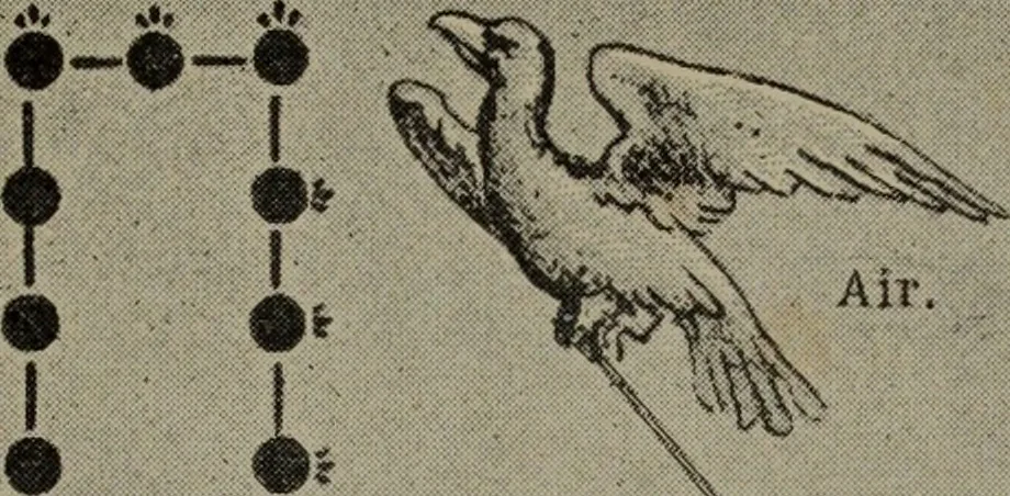 An illustration from Absolute key to occult science : The tarot of the Bohemians. The most ancient book in the world. For the exclusive use of initiates, 1892, leaf 266