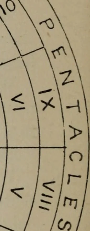 An illustration from Absolute key to occult science : The tarot of the Bohemians. The most ancient book in the world. For the exclusive use of initiates, 1892, leaf 83