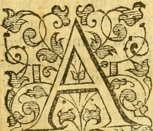 An illustration from An abstract of all the penal statutes which be general, in force and use : wherein is conteyned the effect of all those statutes which do threaten to the offendors thereof the losse of life, member, lands, goods, or other punishment or forfeiture whatsoeuer : whereunto is also added in their apt titles, the effect of all other statutes, wherein there is any thing materiall and necessarie for eche subject to knowe : moreouer, the aucthoritie and duetie of all iustices, sherifes, coroners, eschetors, maiors, bailiffes, customers, comptrollers of custome, stewards of leetes and liberties, aulnegers and purueyors, and what things by the letter of seuerall statutes in force they may, ought, or are compellable to doe, 1586, leaf 4