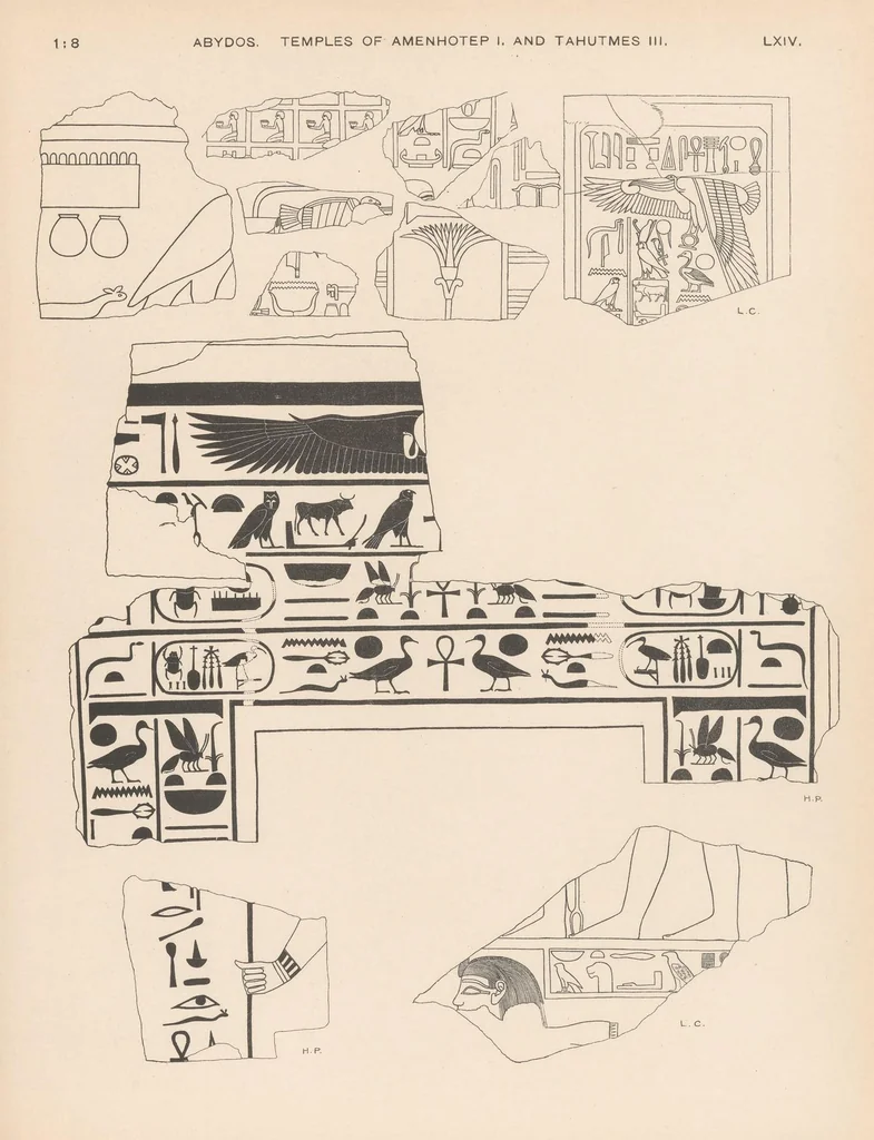 An illustration from Abydos .., 1902, leaf 201
