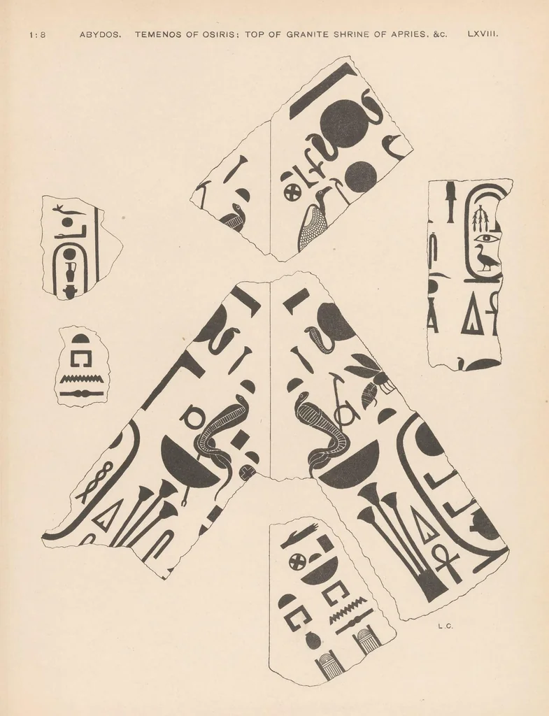 An illustration from Abydos .., 1902, leaf 209
