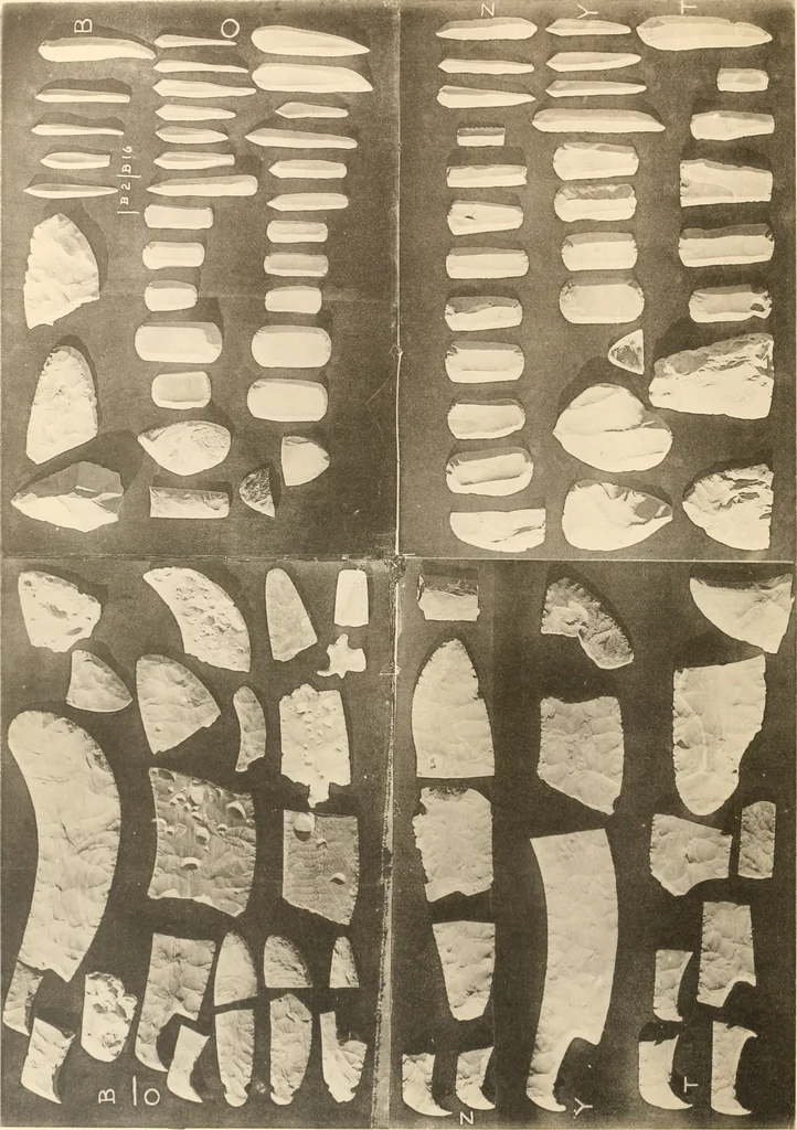 An illustration from Abydos, 1902, leaf 103