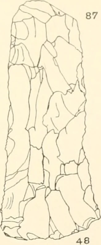 An illustration from Abydos, 1902, leaf 114