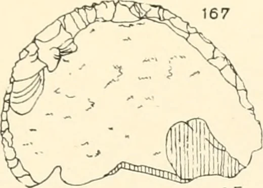 An illustration from Abydos, 1902, leaf 120