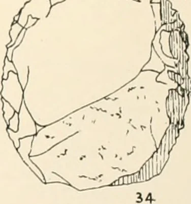An illustration from Abydos, 1902, leaf 120