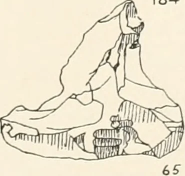 An illustration from Abydos, 1902, leaf 120