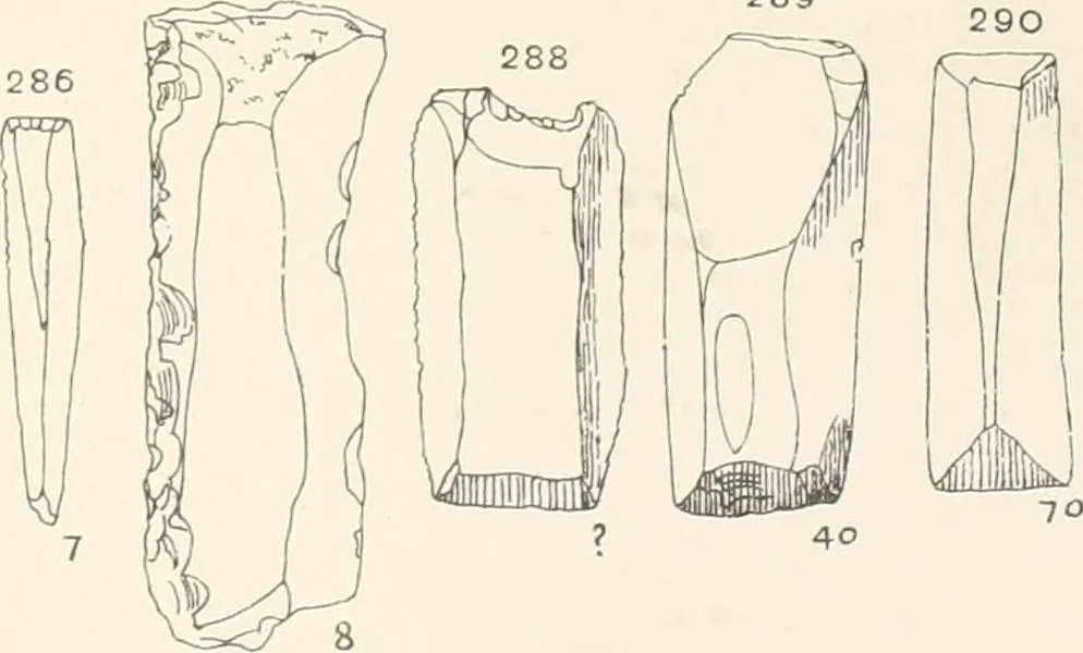 An illustration from Abydos, 1902, leaf 124