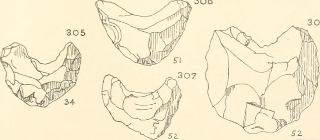 An illustration from Abydos, 1902, leaf 126