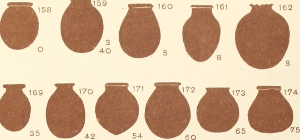 An illustration from Abydos, 1902, leaf 144