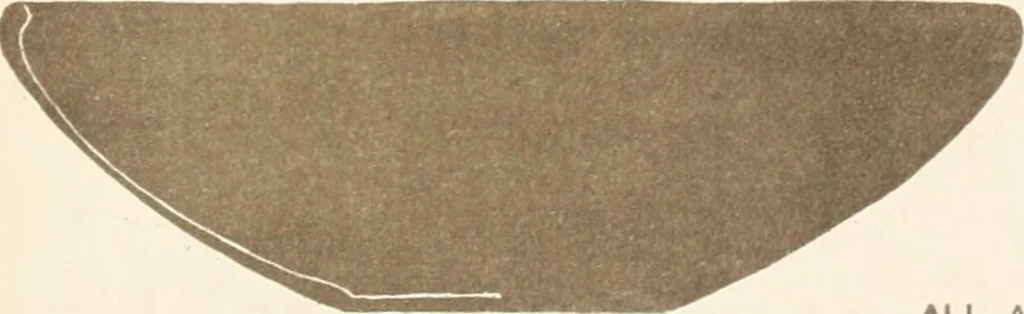 An illustration from Abydos, 1902, leaf 164