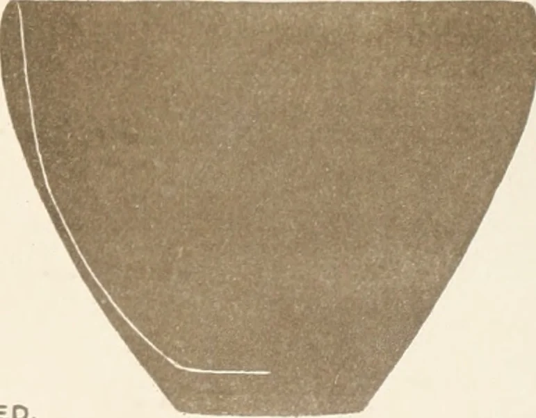 An illustration from Abydos, 1902, leaf 164