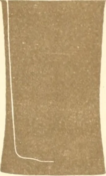An illustration from Abydos, 1902, leaf 166