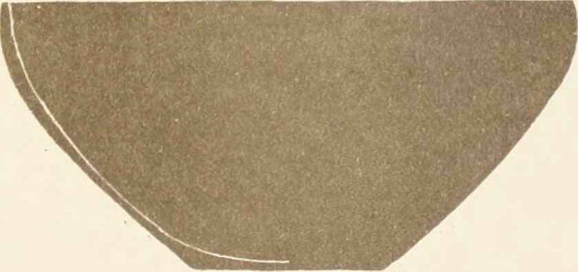 An illustration from Abydos, 1902, leaf 168