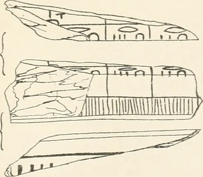 An illustration from Abydos, 1902, leaf 178