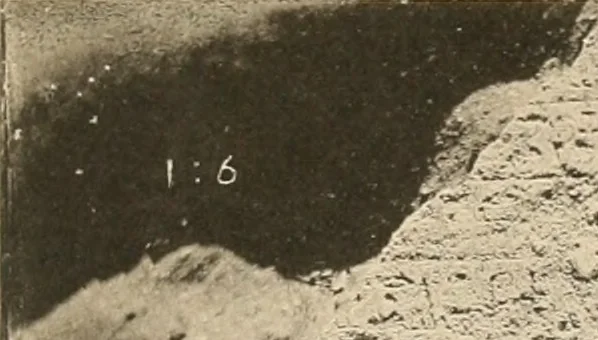 An illustration from Abydos, 1902, leaf 196