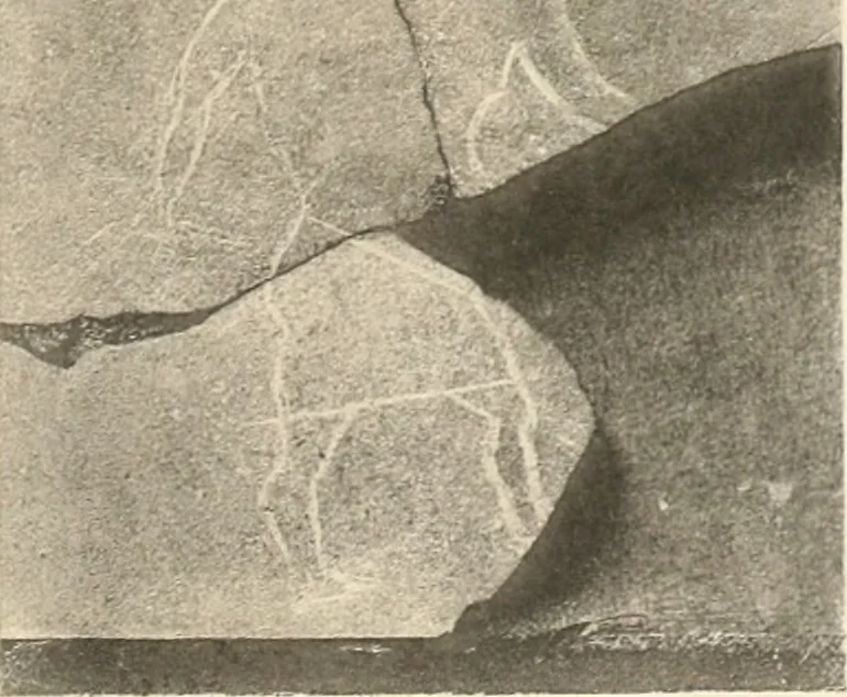 An illustration from Abydos, 1902, leaf 82