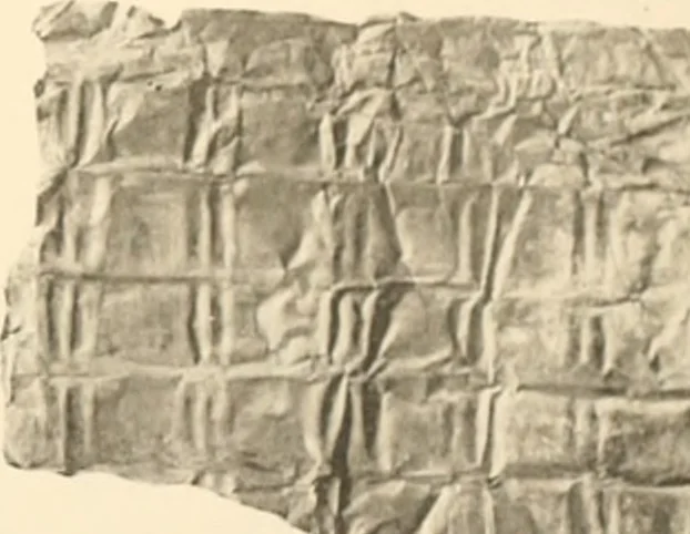 An illustration from Abydos, 1902, leaf 84