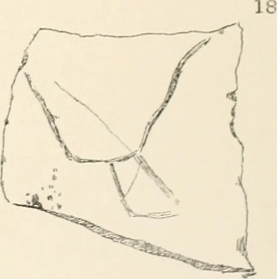 An illustration from Abydos, 1902, leaf 98