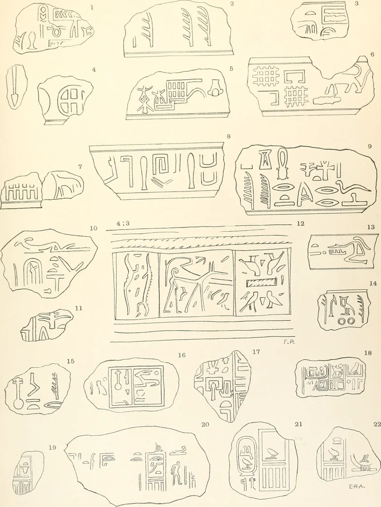 An illustration from Abydos, 1902, leaf 100
