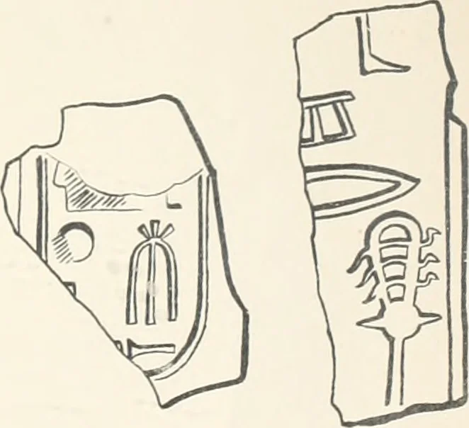 An illustration from Abydos, 1902, leaf 146
