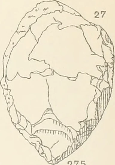 An illustration from Abydos, 1902, leaf 150
