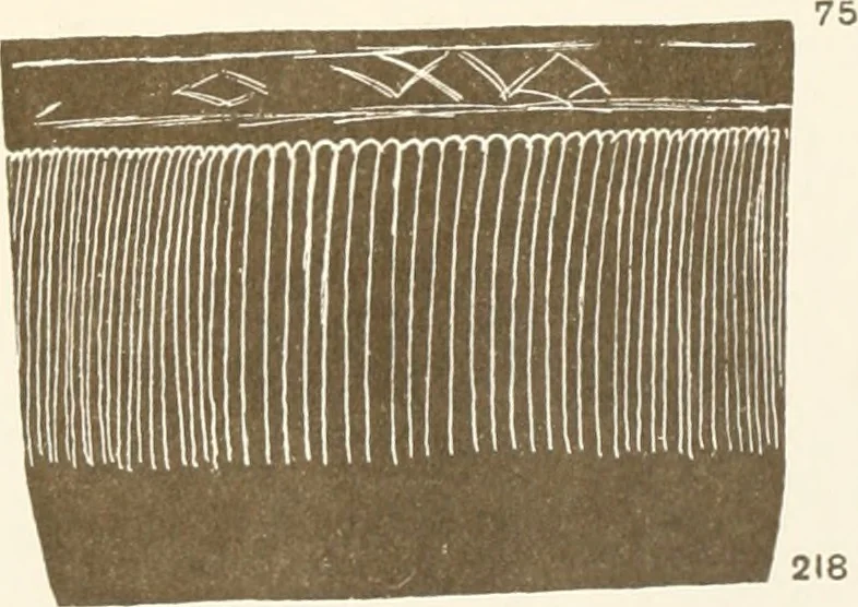 An illustration from Abydos, 1902, leaf 154