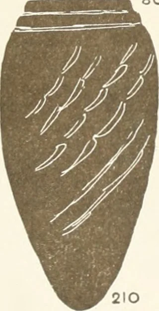 An illustration from Abydos, 1902, leaf 154