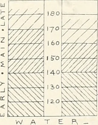 An illustration from Abydos, 1902, leaf 170