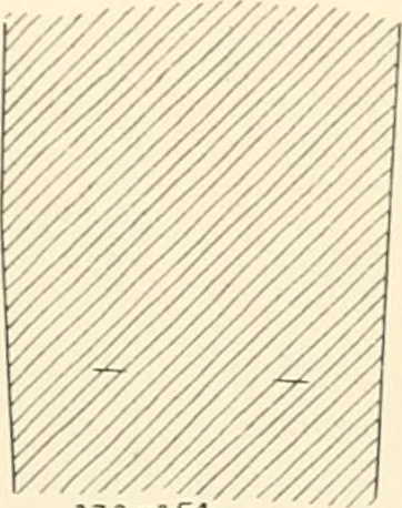 An illustration from Abydos, 1902, leaf 188