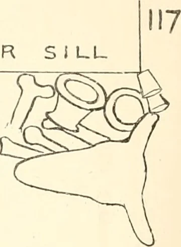An illustration from Abydos, 1902, leaf 205