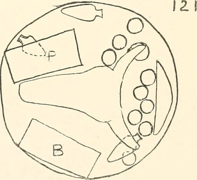 An illustration from Abydos, 1902, leaf 205