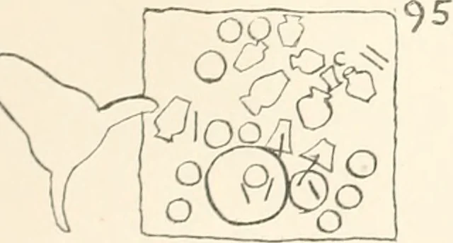 An illustration from Abydos, 1902, leaf 205